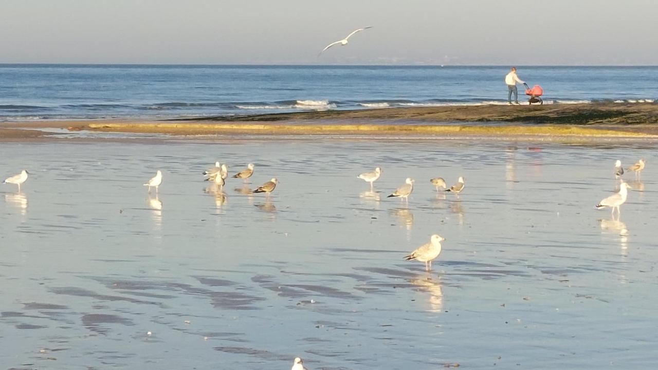 Les 3 Mouettes A Cabourg - Cote Normande Lejlighed Eksteriør billede